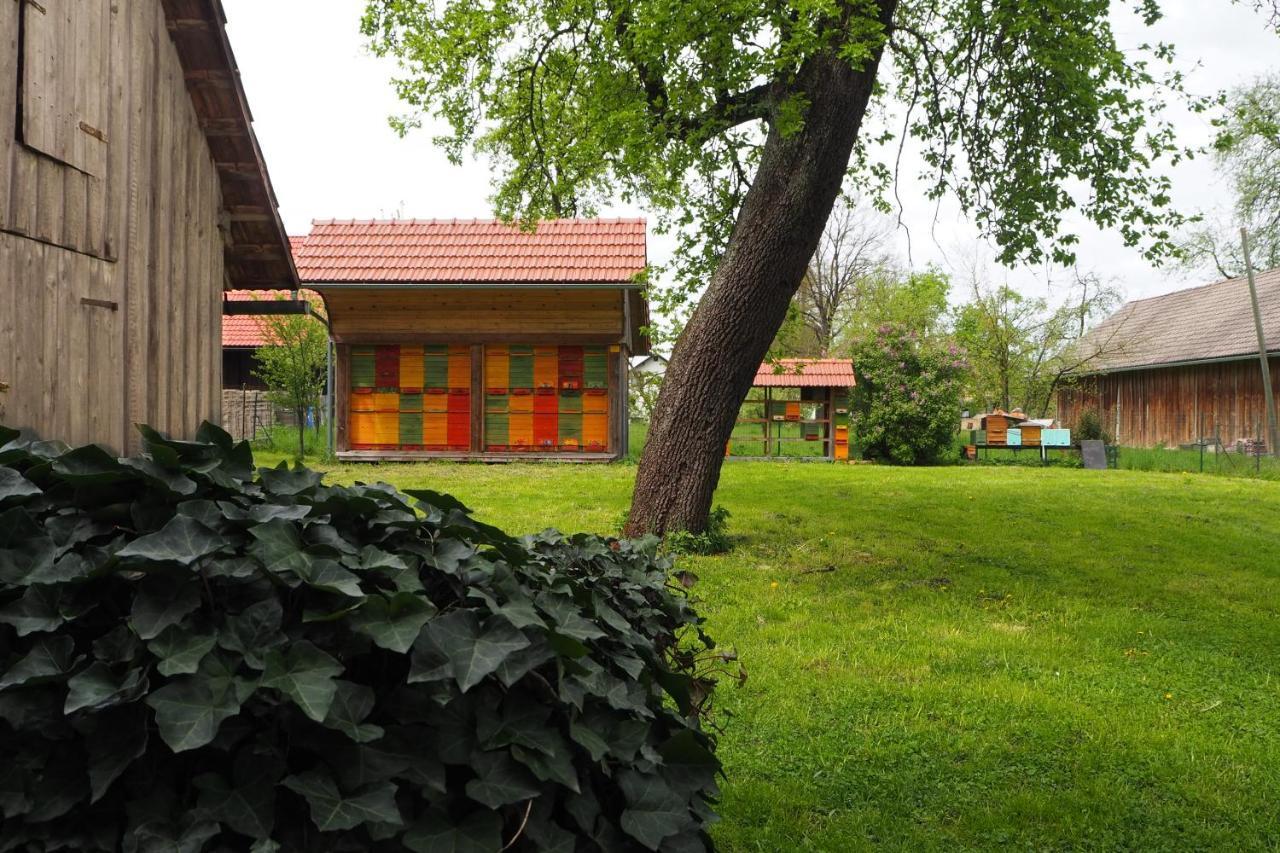 Beekeeping Kojek Ribnica